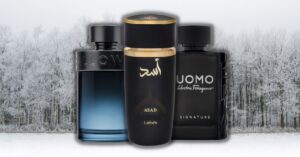 Best Cheap Winter Colognes