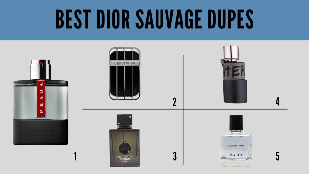 Best Dior Sauvage Dupes