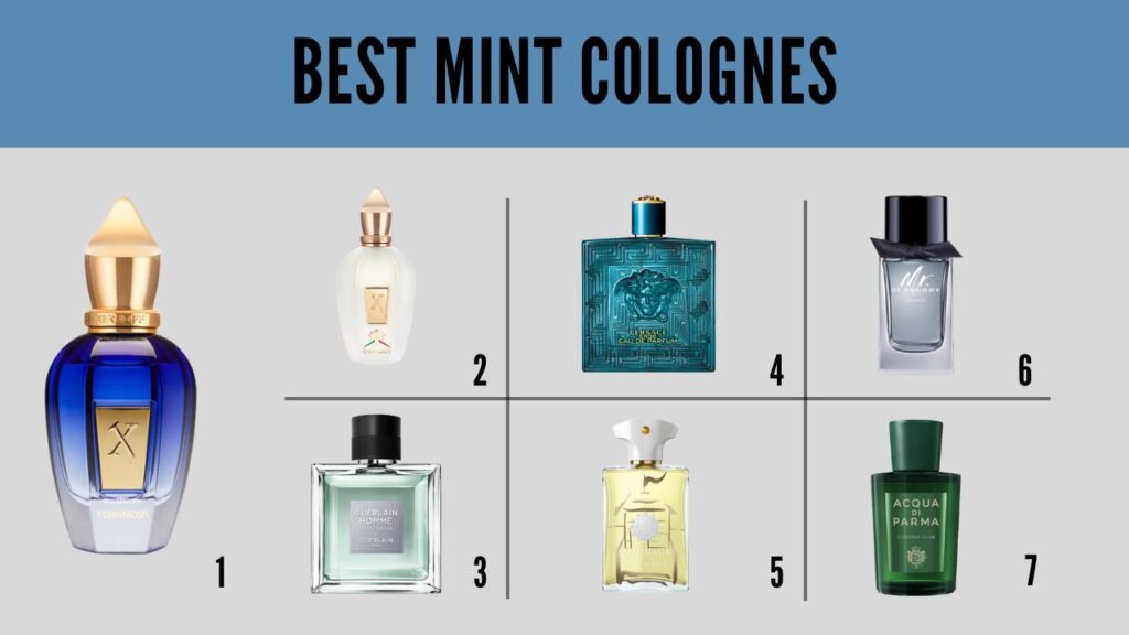 Best Mint Colognes